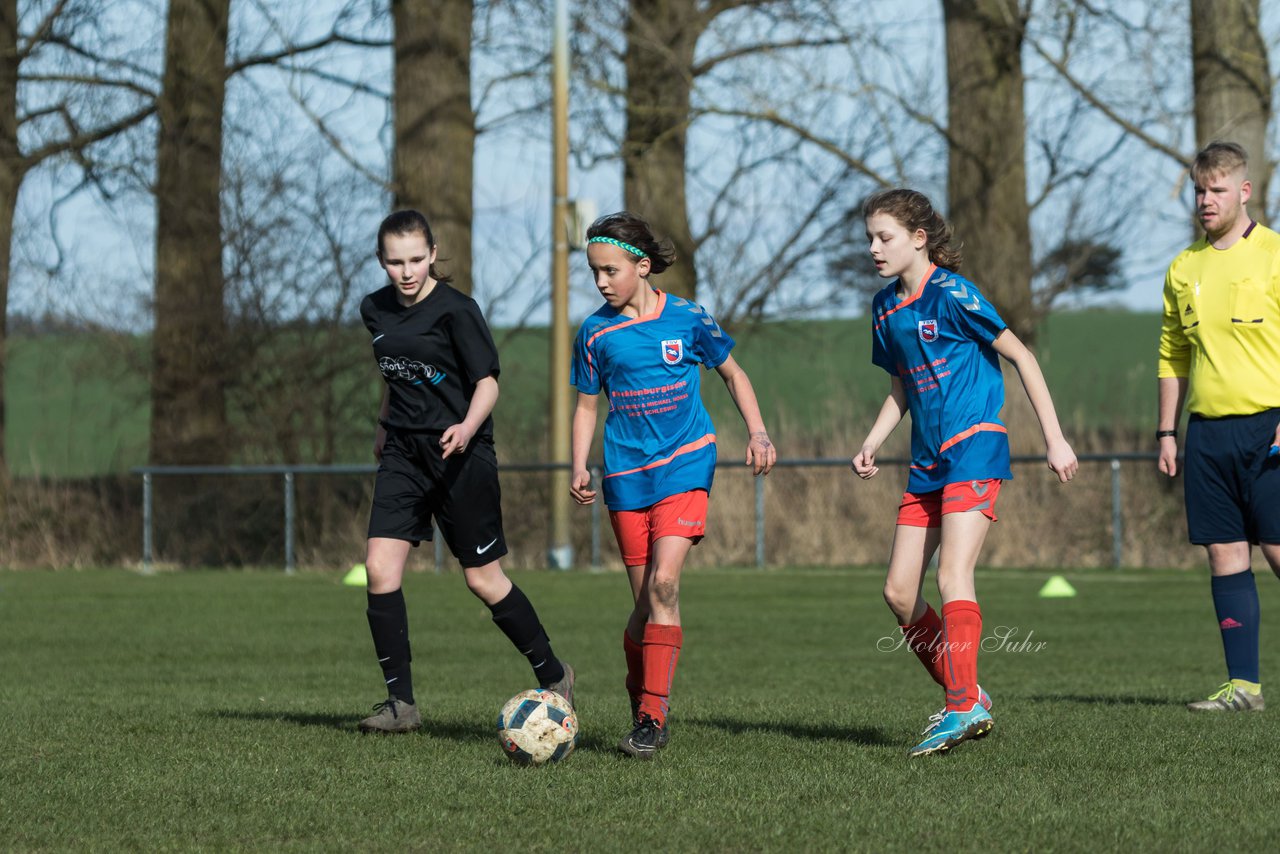 Bild 277 - C-Juniorinnen SV Steinhorst/Labenz - TSV Friedrichsberg-Busdorf : Ergebnis: 5:0